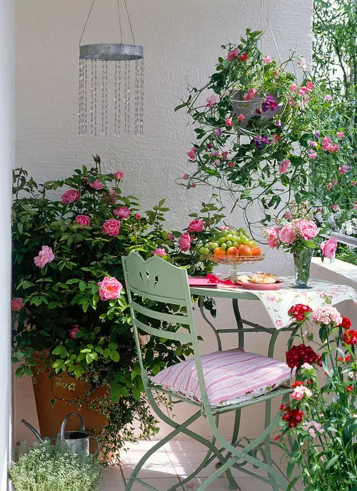 Blooming Beauties: The Delicate Flowers of Balcony Gardens