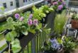 Small Balcony Flowers Gardens