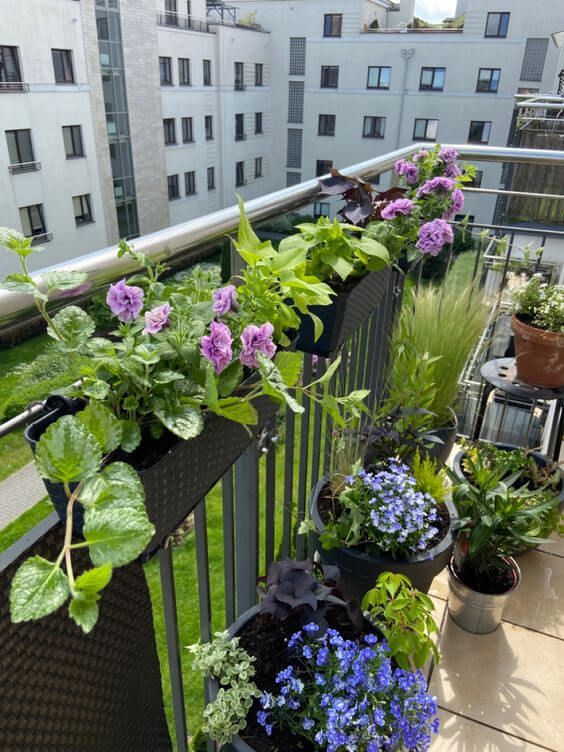 Small Balcony Flowers Gardens