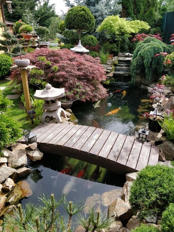 Japanese garden ideas