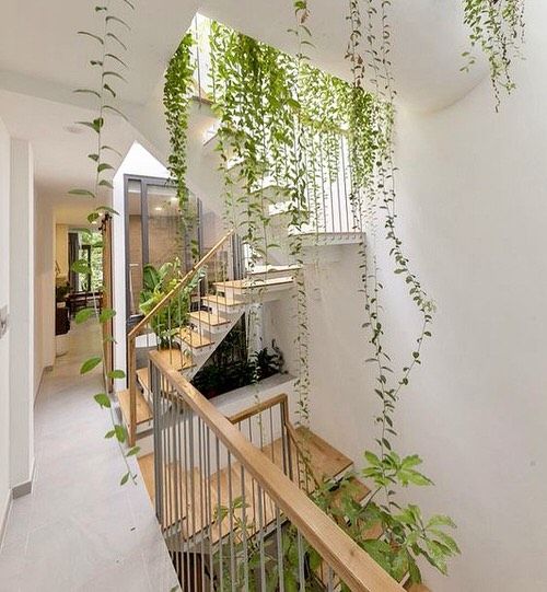 Indoor Garden Ideas In Under The Stairs