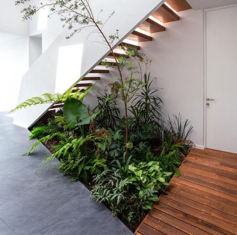 Creative Indoor Garden Ideas for Utilizing the Space Under the Stairs
