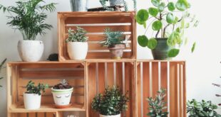 Plant Stand Ideas for home