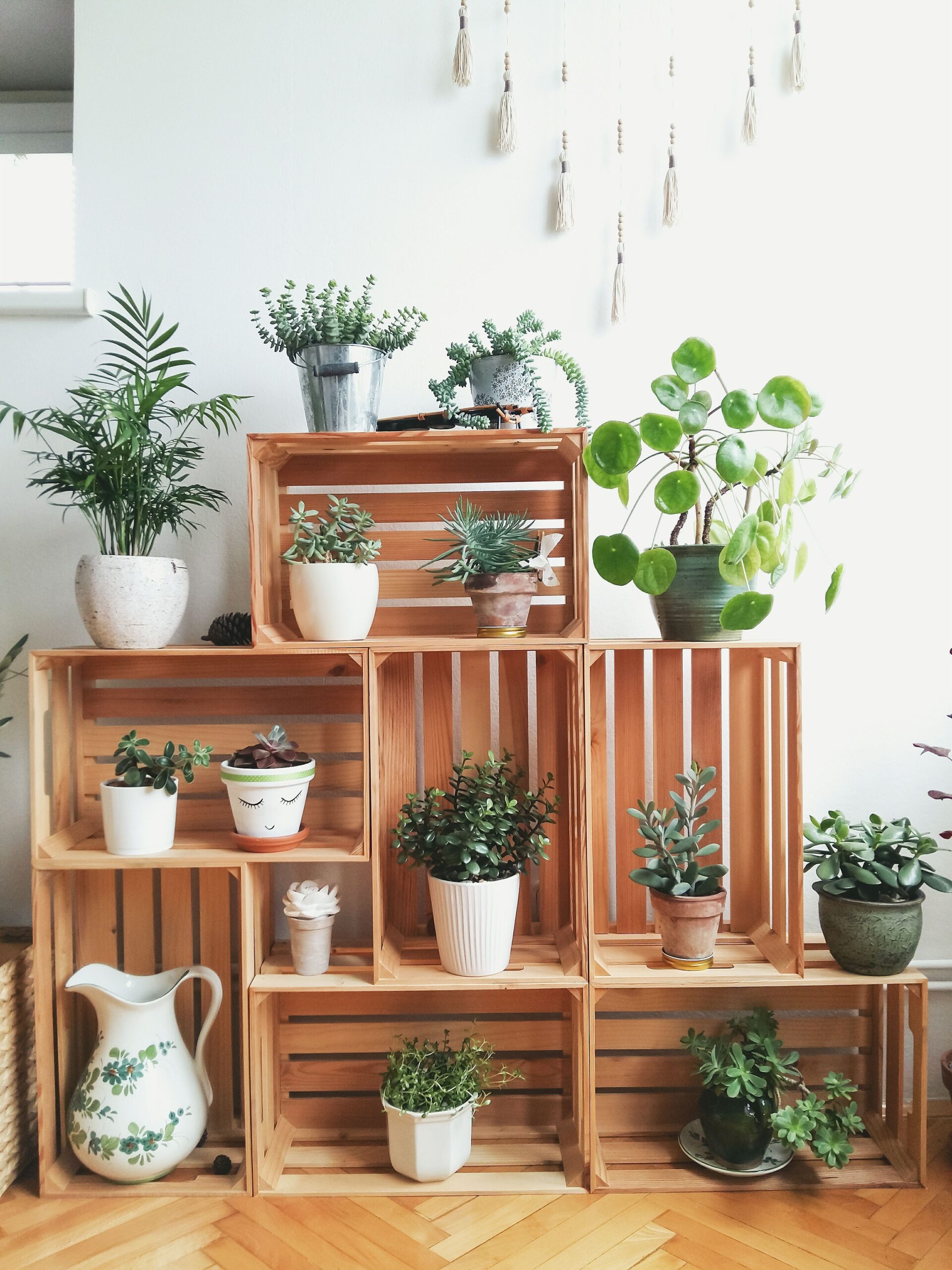 Creative Plant Stand Ideas for Your Home