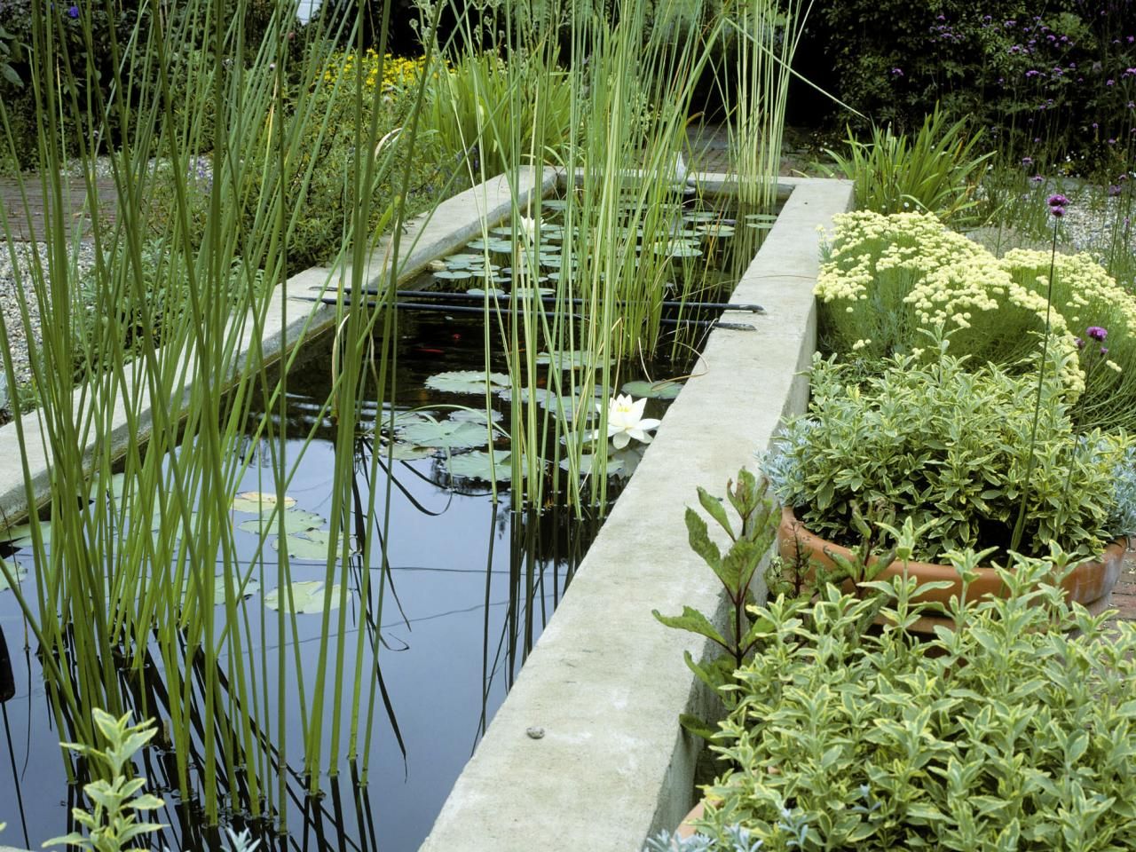 Creative Water Feature Ideas for Your Landscape Design