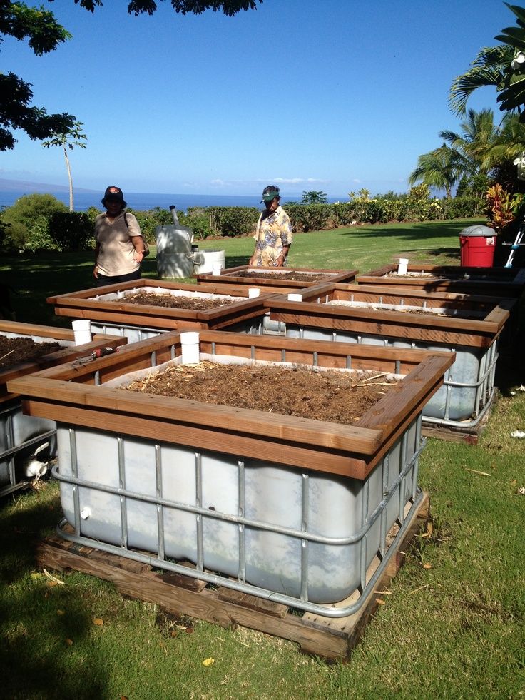 Creative Ways to Design and Organize Your Raised Bed Garden