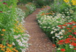 Garden Path Ideas