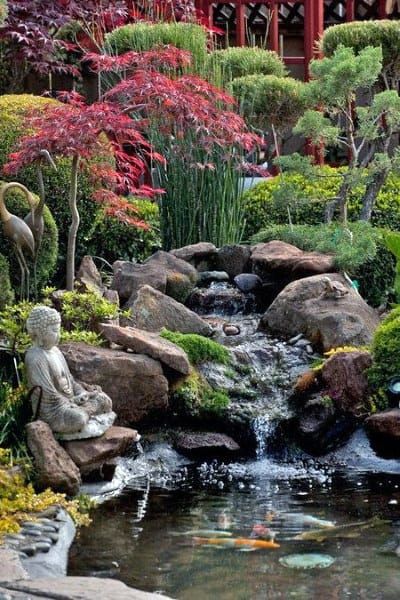 Creative Ways to Enhance Your Outdoor Space with a Backyard Pond