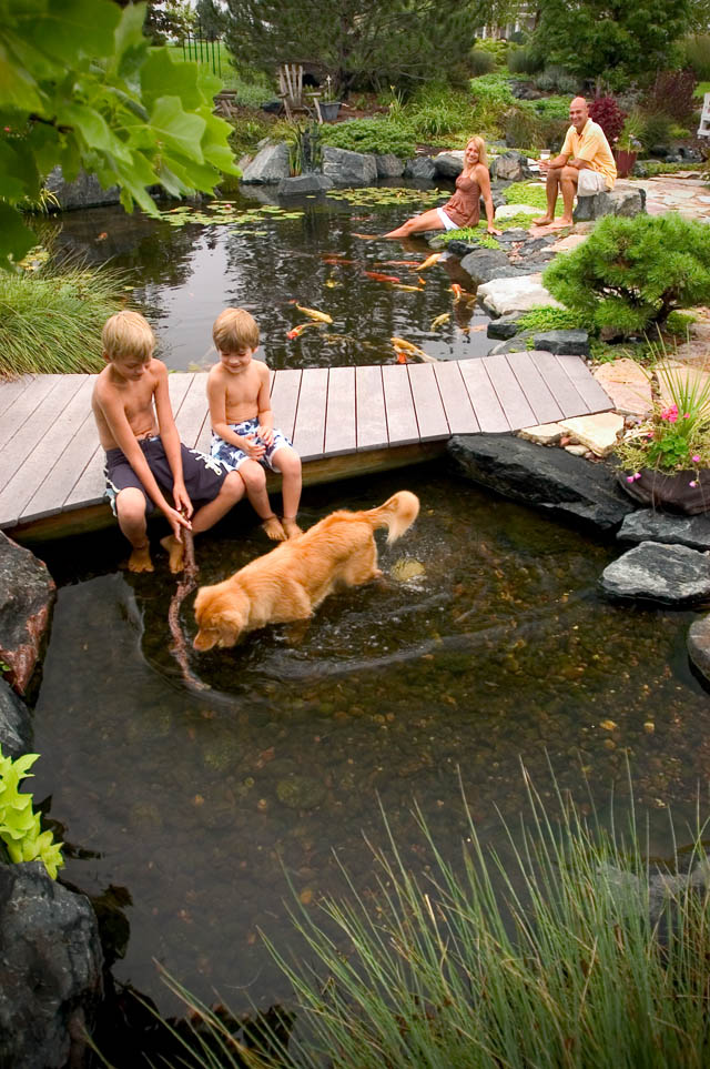 Creative and Relaxing Backyard Pond Design Inspiration