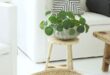 Beautiful Flower Pot Ideas