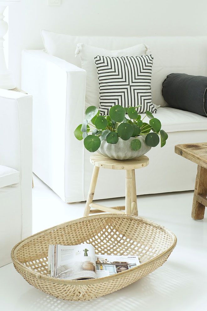 Creative and Stylish Flower Pot Inspirations