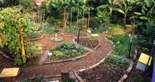 Circle Round Garden Design