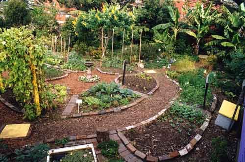 Exploring the Beauty of Circular Garden Designs