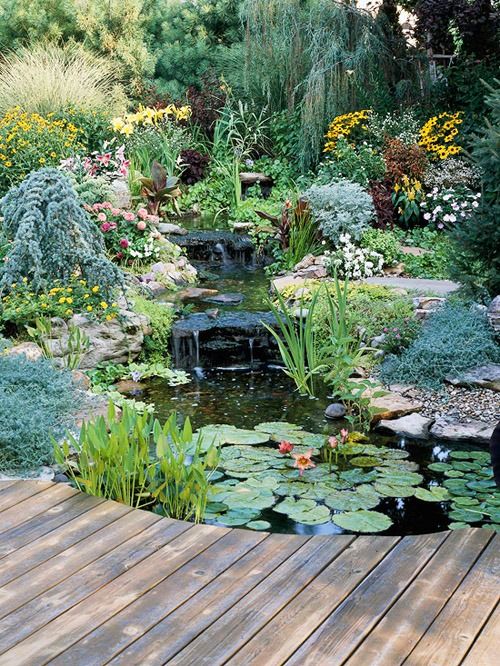 Gorgeous Water Feature Ideas to Elevate Your Landscape