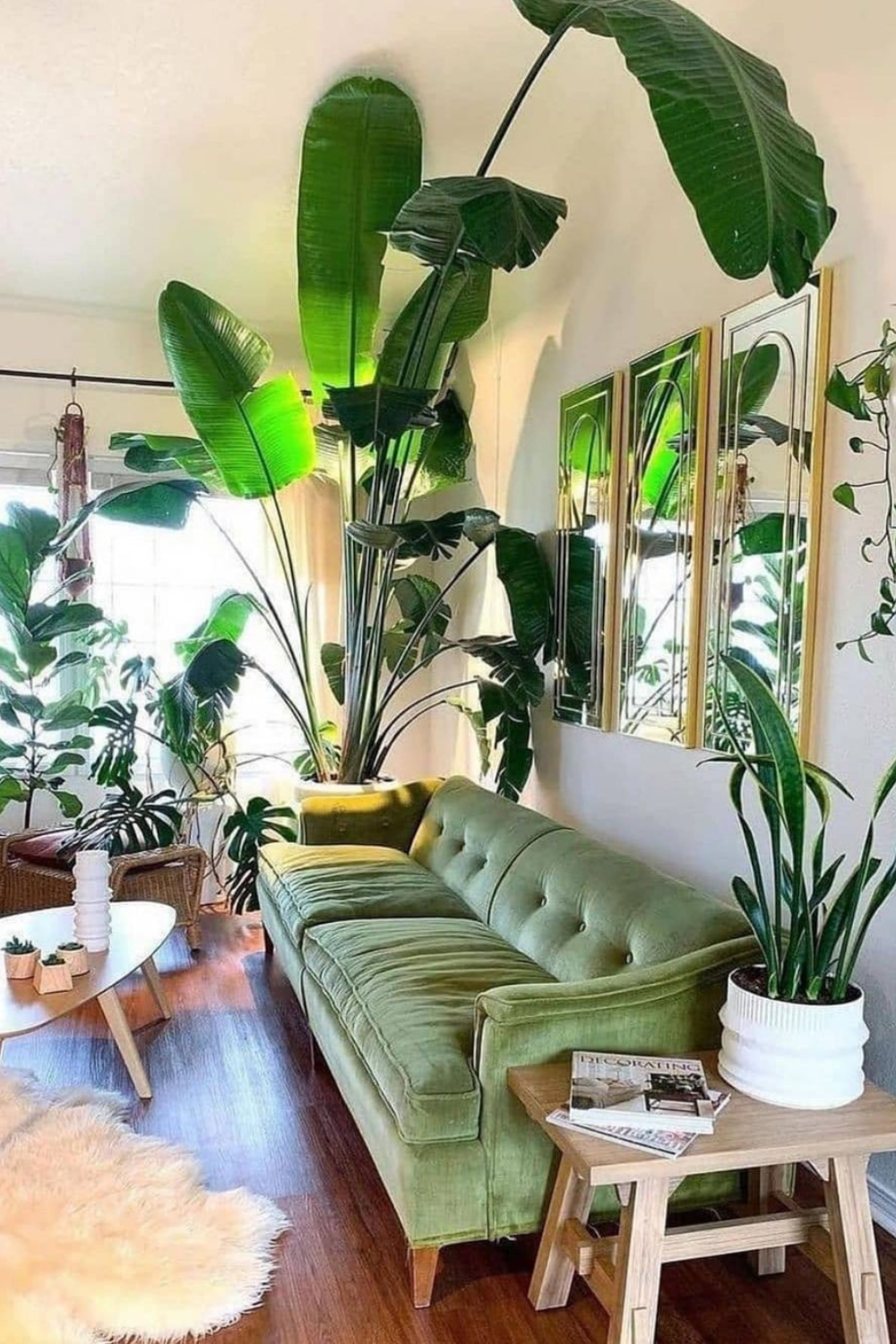 Greening Up Your Space: Elevated Plant Decor for Stylish Homes