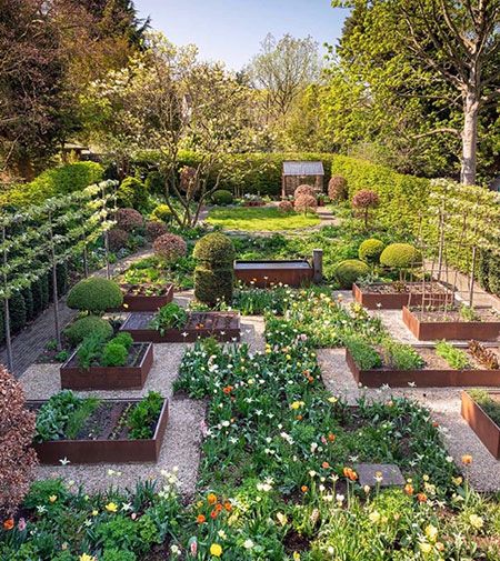 How to create a stunning raised bed garden in your backyard