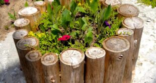 Creative Wooden Planters