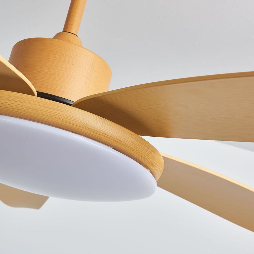 Modern Solutions for Air Circulation: Contemporary Ceiling Fans