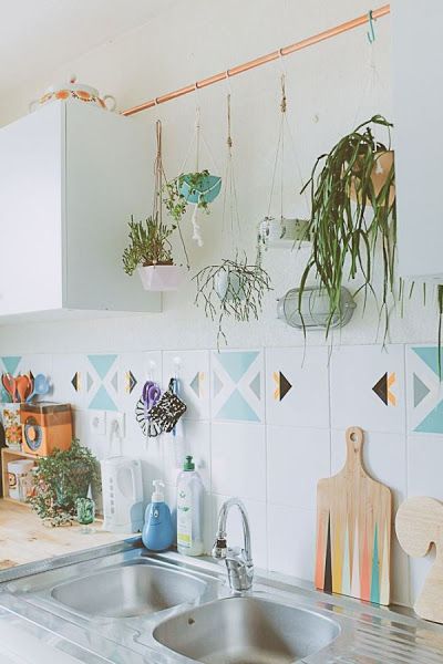 Stylish Hanging Plants for Home Decor