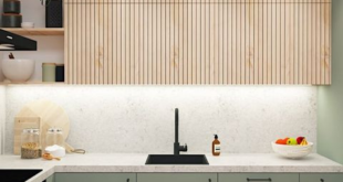 kitchen cabinets design