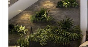 Plant Decor Ideas for Under the Stairs