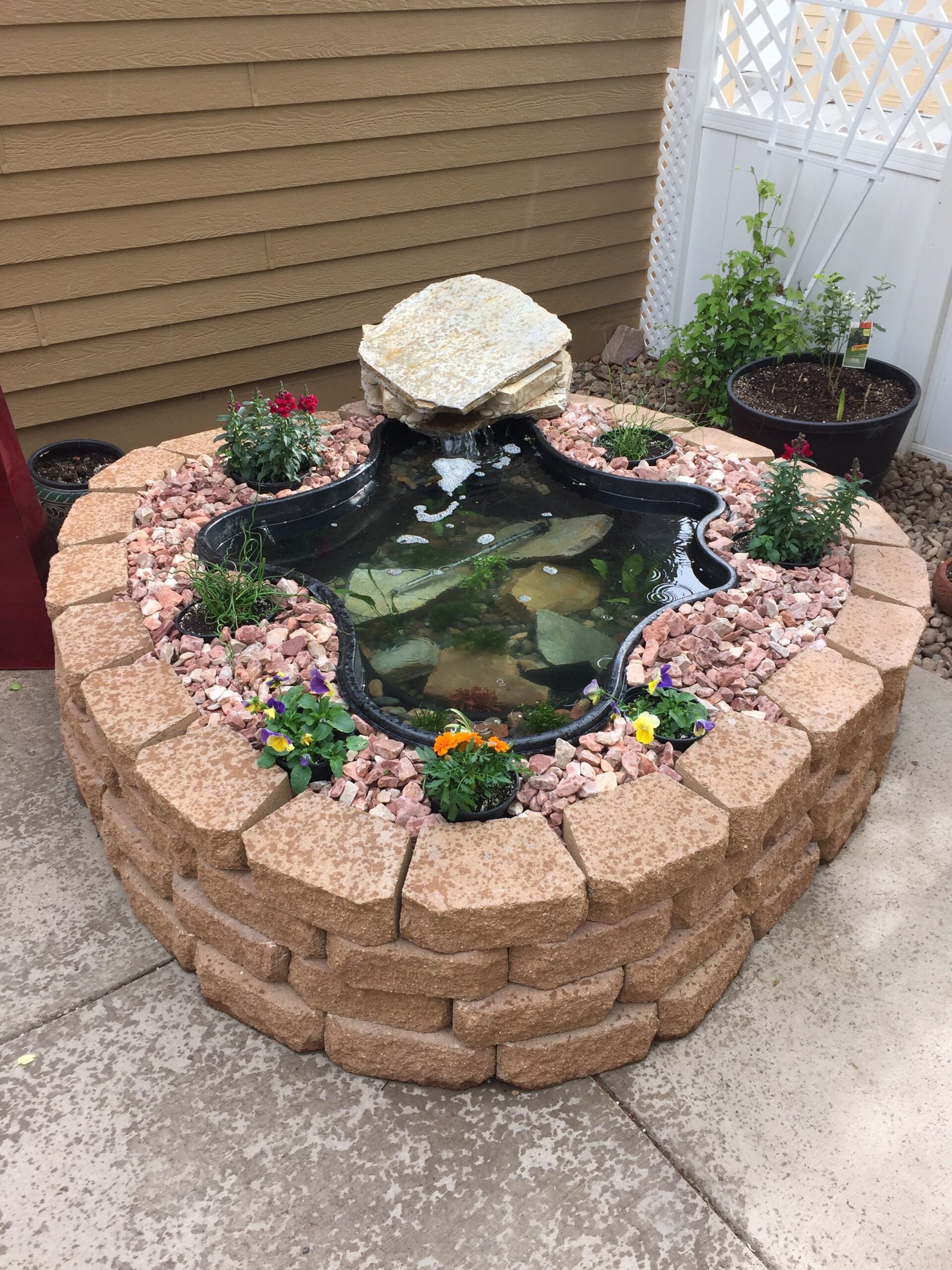 Unique and Creative Ideas for Above Ground Fish Pond Designs