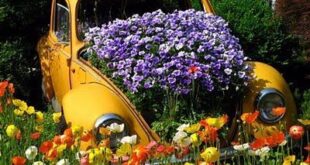 Old car flower planter design