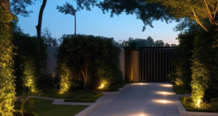 Shedding Light: Contemporary Illumination for Your Outdoor Space