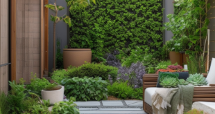 Easy Elegance: Low-Maintenance Solutions for Small Yards