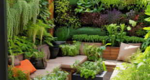 Maximizing Space: Creative Layouts for Small Backyard Gardens