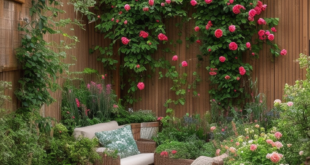 Petite Gardens: Transformative Ideas for Small Backyard Spaces