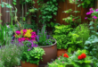 Small Backyard Gardens: Innovative Design Tips for Compact Spaces