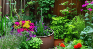 Small Backyard Gardens: Innovative Design Tips for Compact Spaces