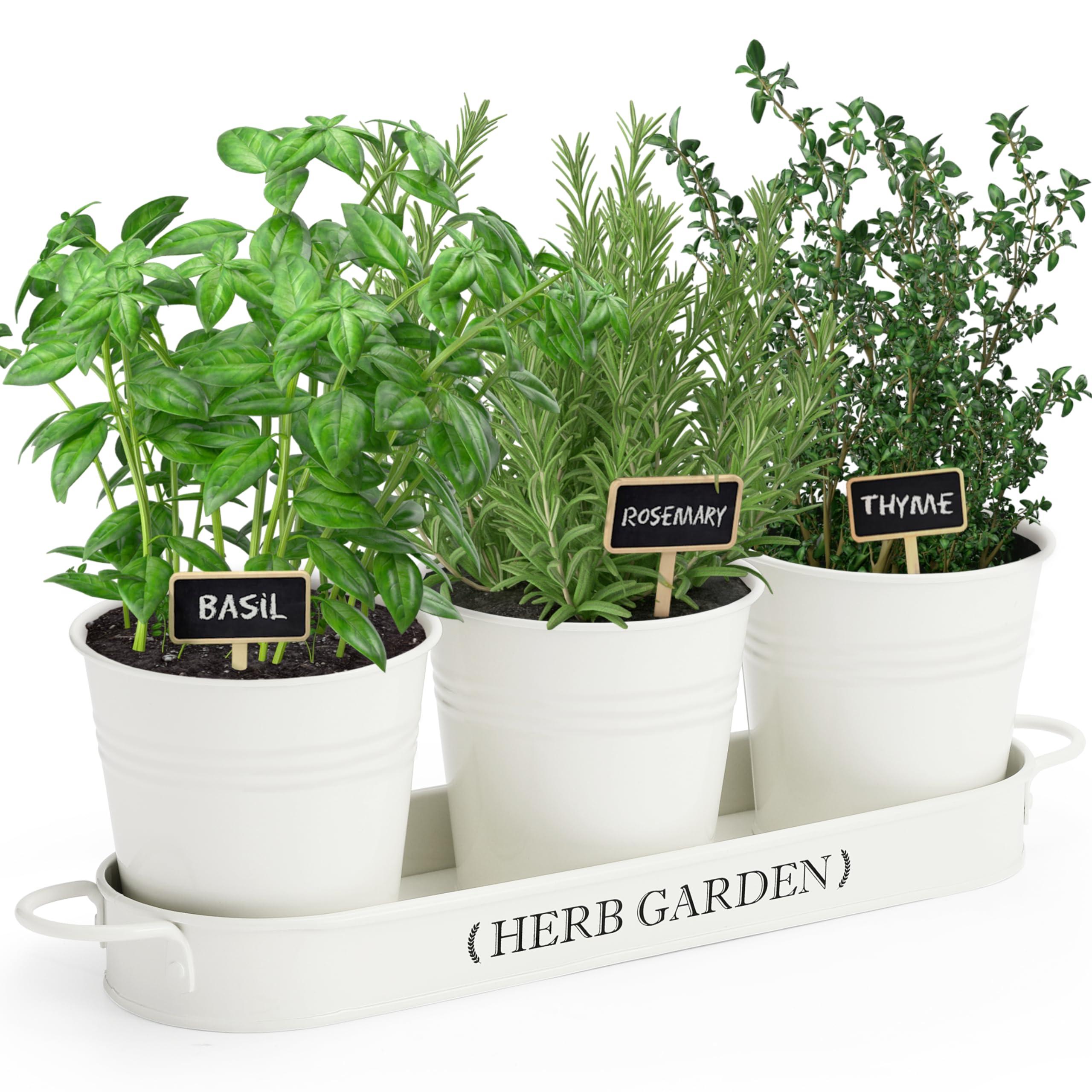 Herb​ pots on the windowsill infuse freshness into your farmhouse kitchen