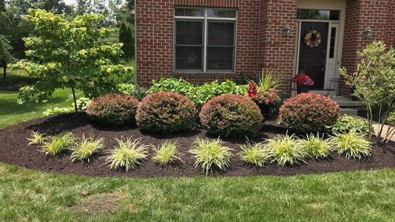 Mix⁢ hardscaping‌ and softscaping for a balanced,‍ dynamic landscaping design that captures‌ attention