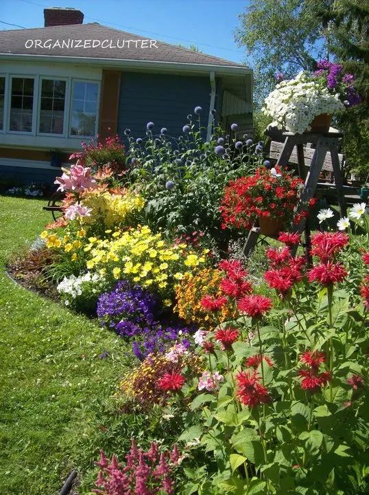 Incorporate a mix of annuals and perennials for year-round beauty in your front yard design