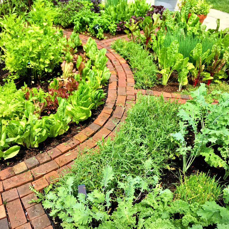 Explore edible landscapes to combine beauty and functionality in landscaping design