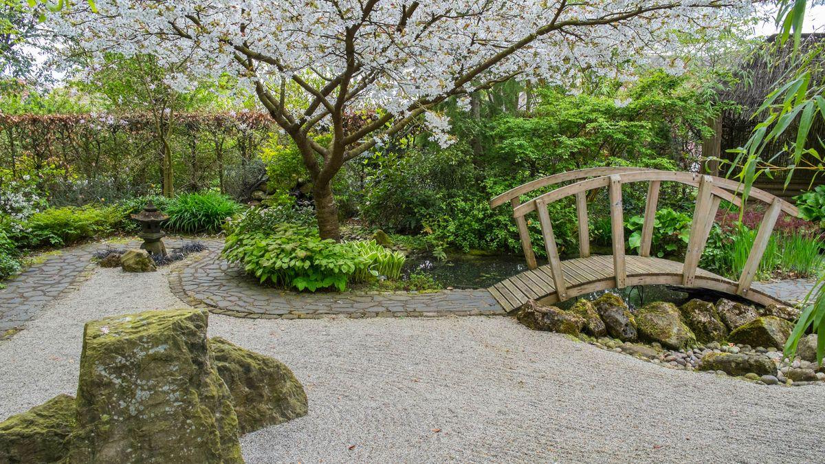 Create a Zen corner with meditative‍ stones and soothing plants in⁣ your‌ modern backyard