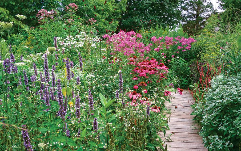 Pollinator ‌gardens support‍ local wildlife while enhancing your Landscaping Design