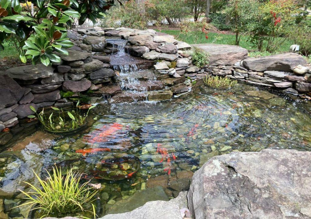 Install a pond to attract wildlife and enrich your landscaping design experience