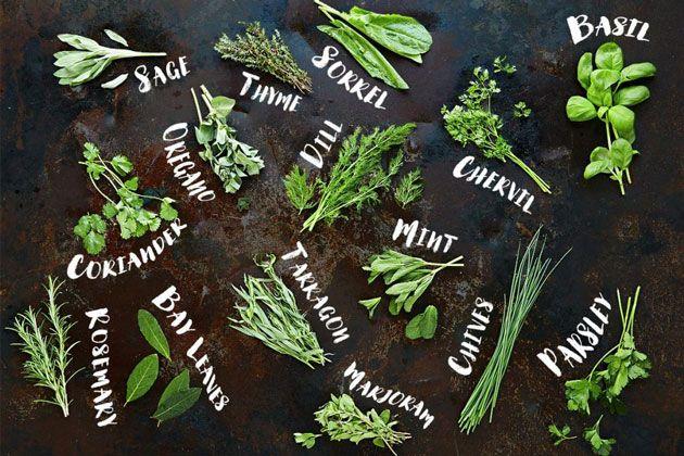 Culinary herb gardens thrive ‍in sunny corners of your country kitchen