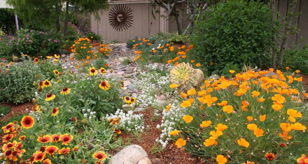 Plant native flora for sustainable beauty in ⁤your modern backyard ecosystem