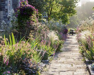 Plant fragrant herbs for a sensory-rich front yard design experience