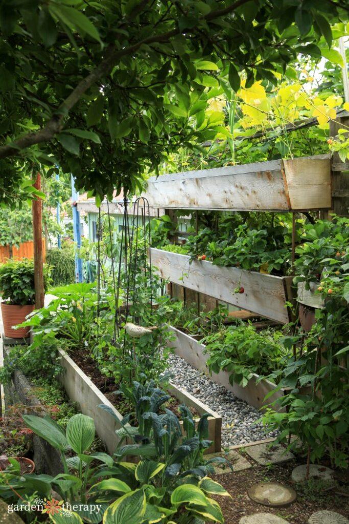 Incorporate vertical gardens for a fresh touch to your modern backyard