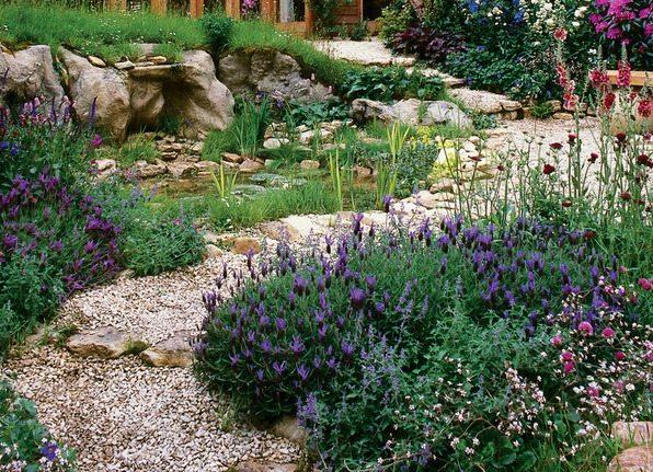 Embrace native‍ plants for sustainable landscaping design that supports local​ wildlife