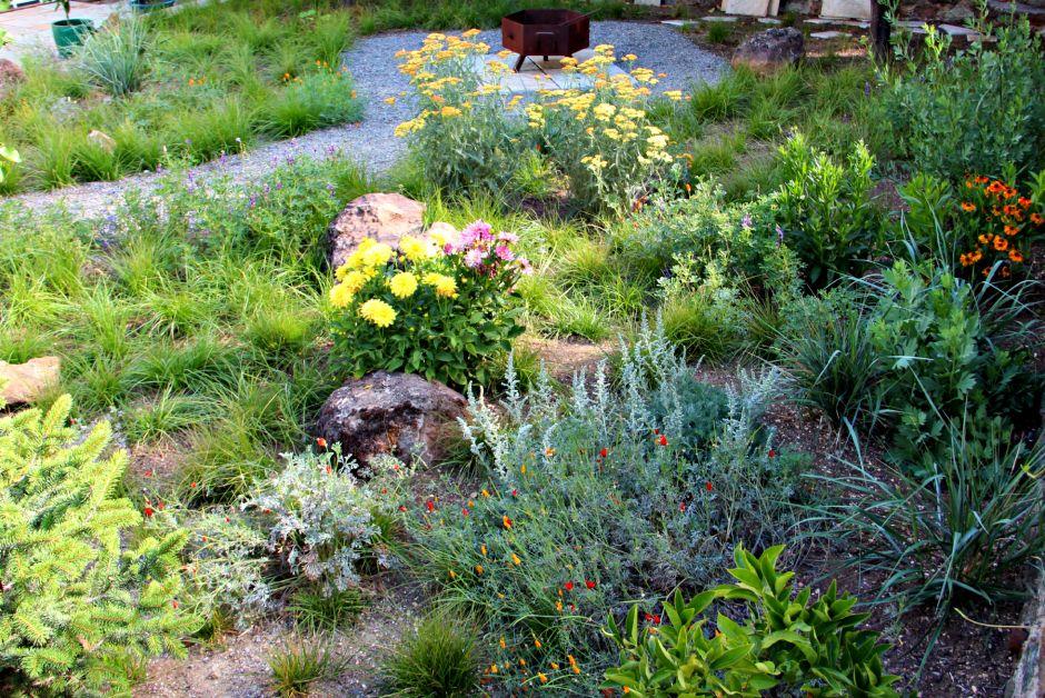 Incorporate native plants to promote sustainability and ease maintenance in your backyard design