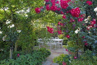 Use aromatic plants to invigorate the senses in your‍ patio design