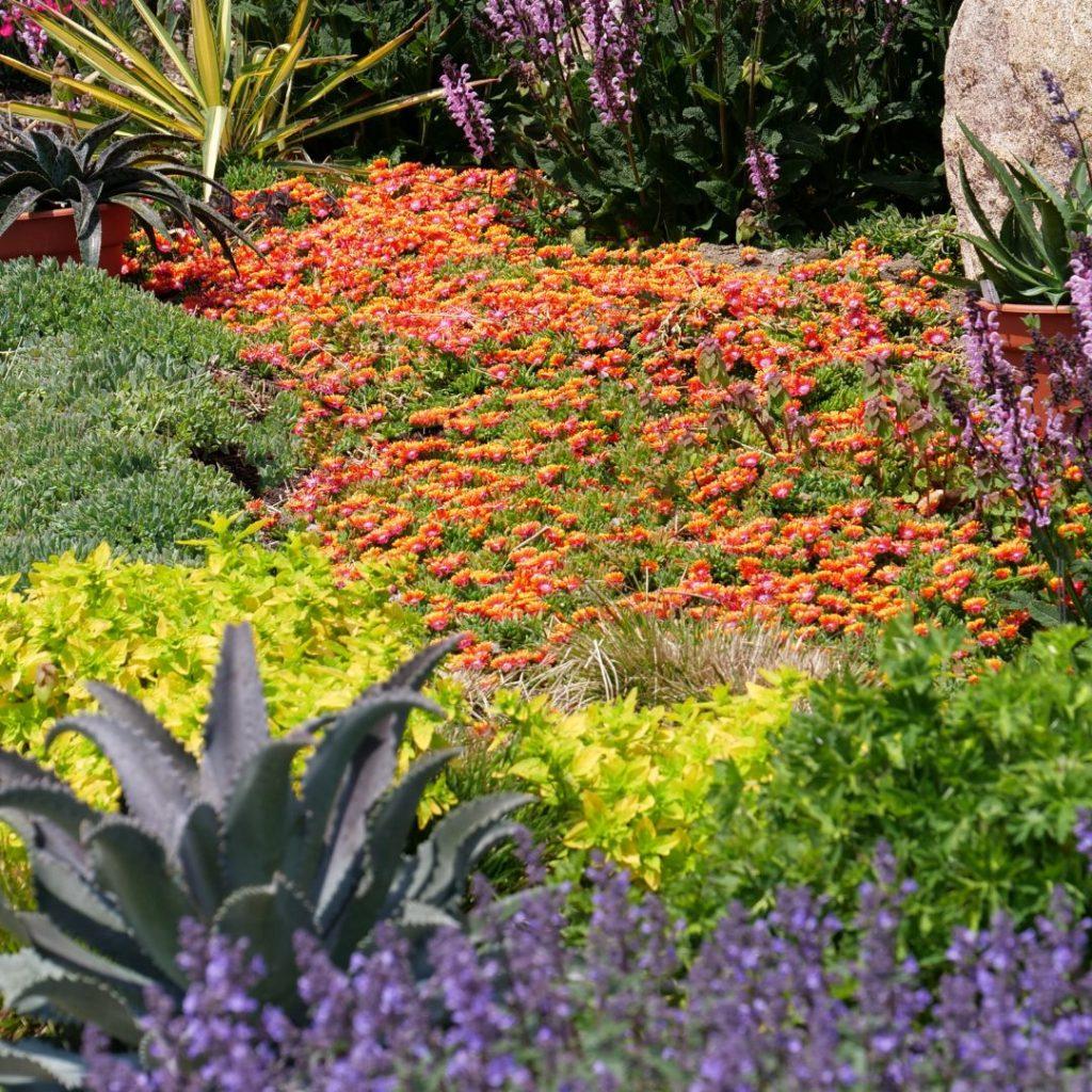 Colorful ‍flower beds bring⁢ vibrancy‍ and ‌creativity to your Landscaping Design