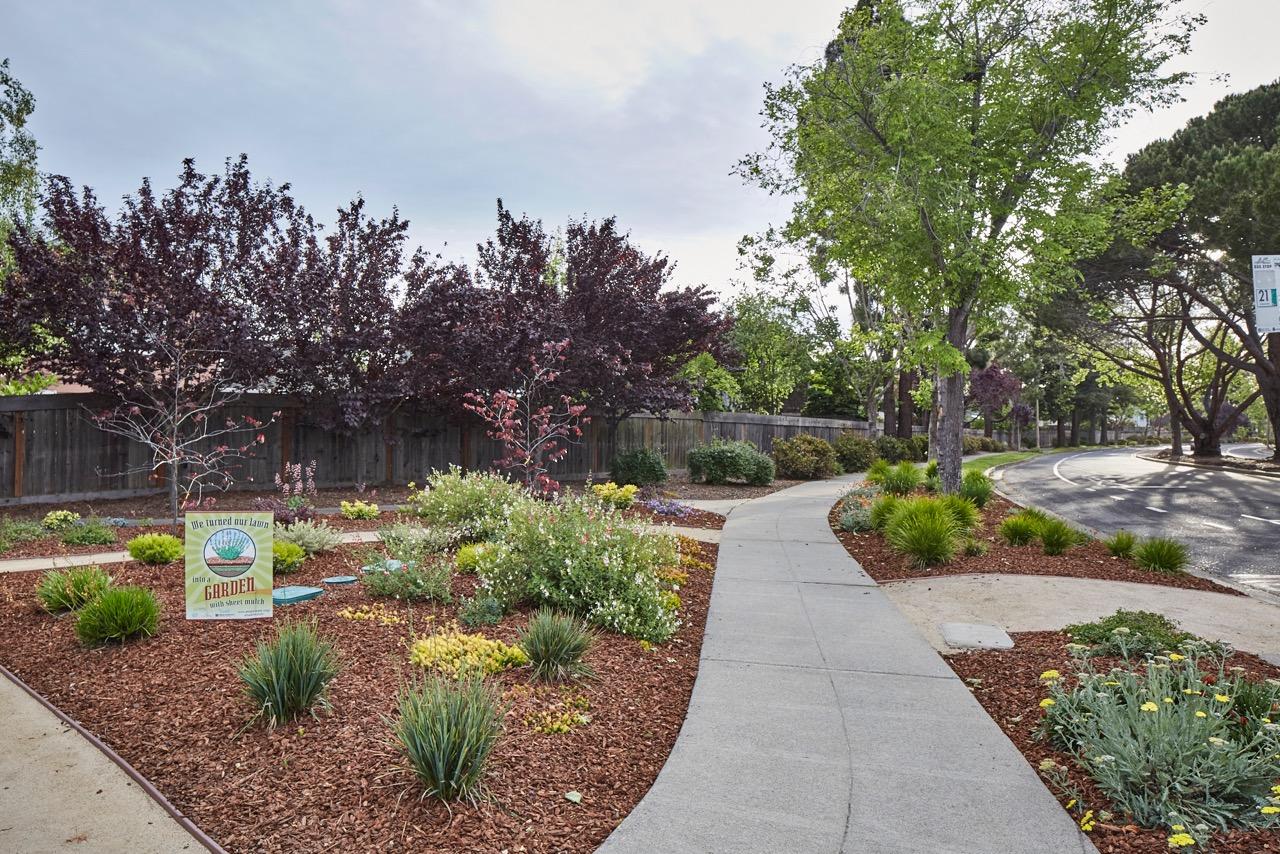 Choose drought-tolerant plants for eco-friendly landscaping design solutions