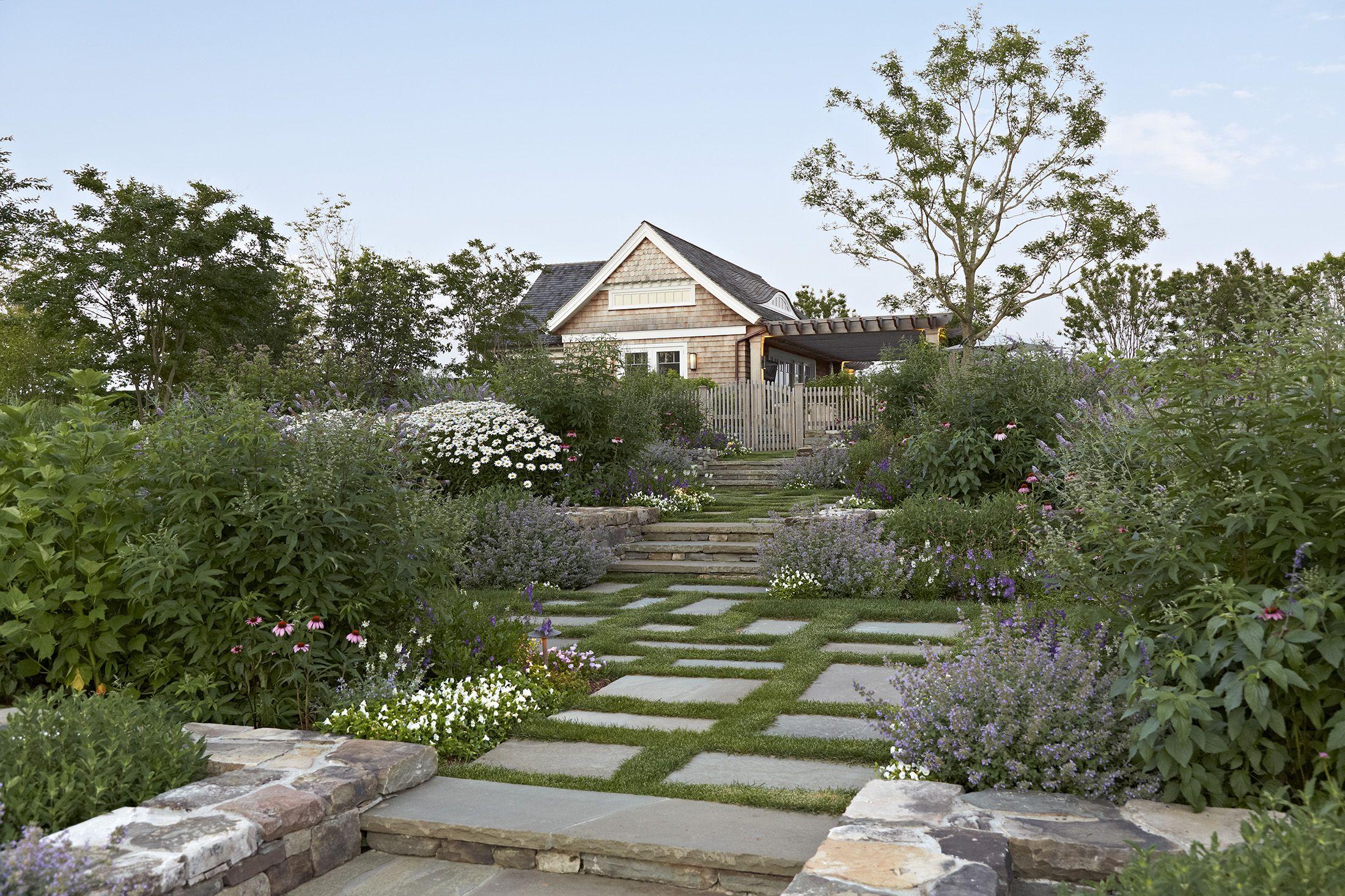 Embrace native plants for sustainable landscaping design with minimal maintenance